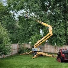 Best Grass Overseeding  in Wellman, IA