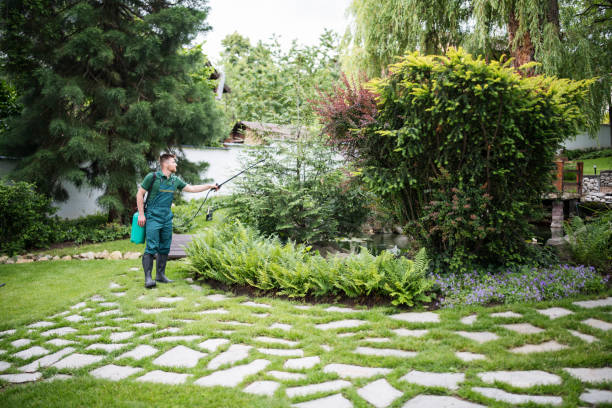 Best Lawn Watering Services  in Wellman, IA