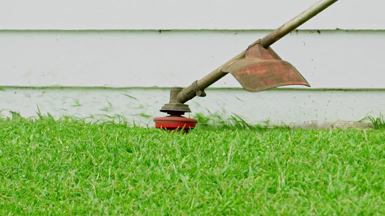 Best Pest Control for Lawns  in Wellman, IA