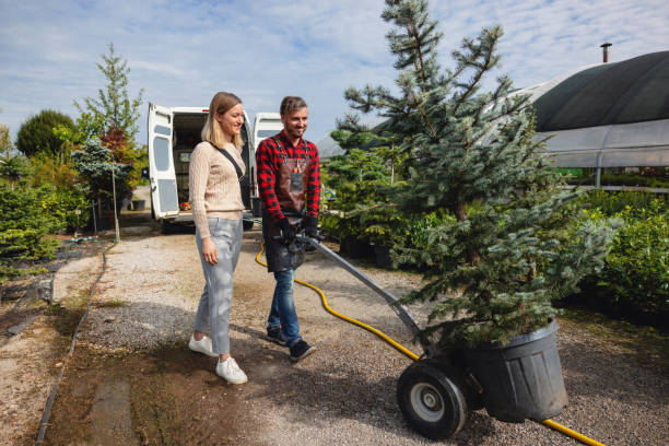 Best Landscape Design and Installation  in Wellman, IA